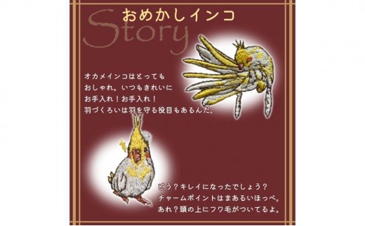 おはなし靴下 ギフトボックス オカメインコ レディース グリーン グリーン
