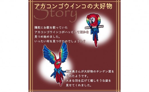 おはなし靴下 ギフトボックス アカコンゴウインコ レディース グレー グレー