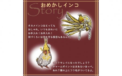 おはなし靴下 ギフトボックス オカメインコ レディース ネイビー ネイビー