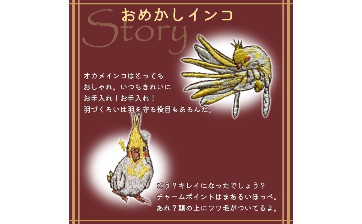 おはなし靴下 ギフトボックス オカメインコ キッズ グリーン グリーン