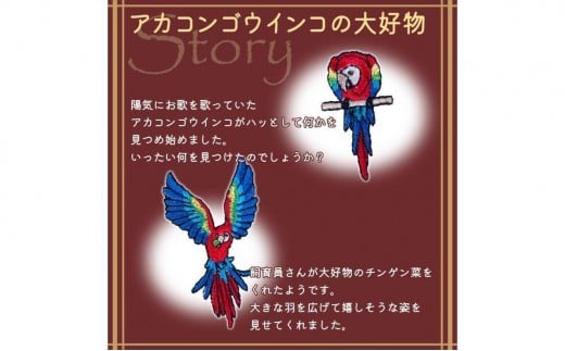 おはなし靴下 ギフトボックス アカコンゴウインコ レディース ピンク ピンク