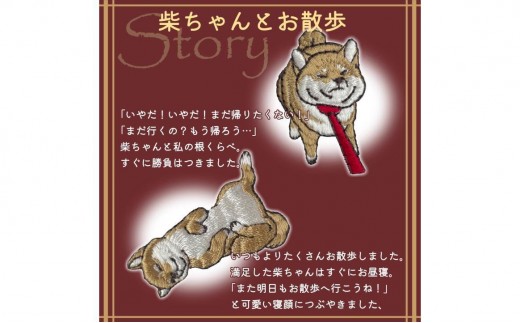 おはなし靴下 ギフトボックス 柴犬 キッズ ネイビー ネイビー