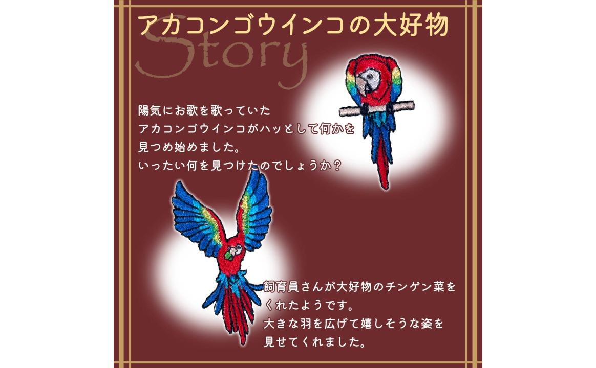 おはなし靴下 ギフトボックス アカコンゴウインコ キッズ アイボリー アイボリー