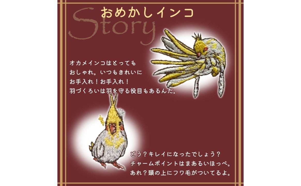 おはなし靴下 ギフトボックス オカメインコ キッズ ネイビー ネイビー