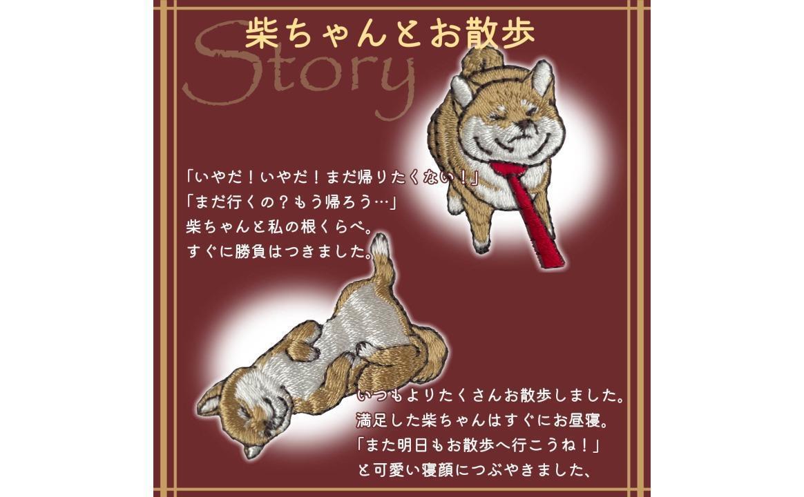 おはなし靴下 ギフトボックス 柴犬 キッズ グリーン グリーン