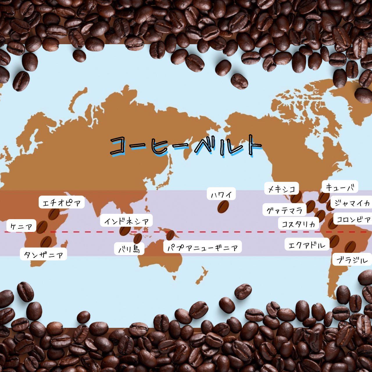 自家焙煎 プレミアム珈琲豆 3種セット（豆のまま）（3か月連続お届け） コーヒー豆の状態：豆のまま