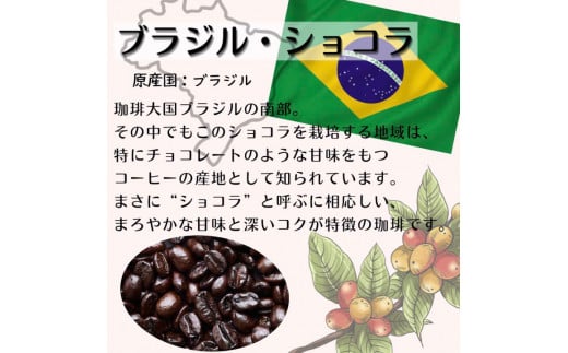 【定期便】自家焙煎 人気珈琲豆 3種セット（6か月）（挽き） 豆の状態：挽き