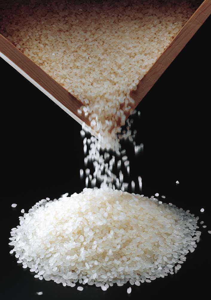 三木のお米（キヌヒカリ）5kg