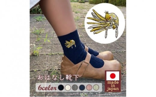 おはなし靴下 ギフトボックス オカメインコ キッズ アイボリー アイボリー