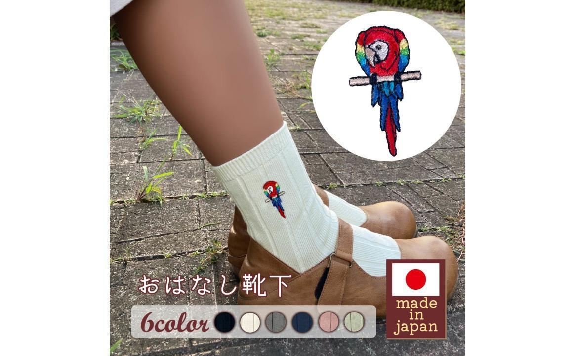 おはなし靴下 ギフトボックス アカコンゴウインコ キッズ グリーン グリーン