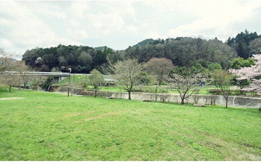 知明湖キャンプ場利用券 KWNAE001