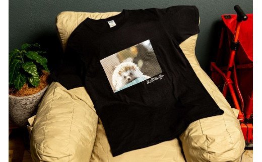 【豆】自家焙煎コーヒー＆【S】ハリネズミTシャツセット KWNCA008
