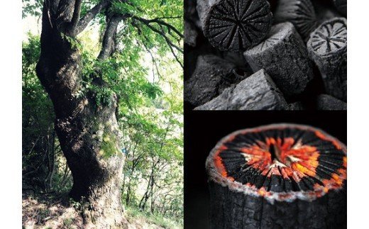 菊炭（バーベキュー用炭） KWNW004