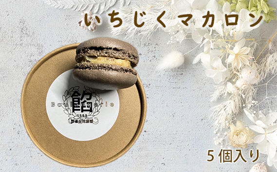 いちじくマカロン KWNAM001