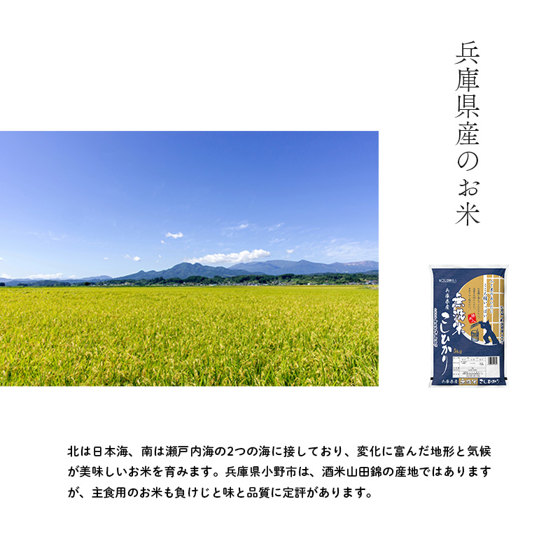 兵庫県産 コシヒカリ 無洗米 10kg ( 5kg × 2袋 ) [ お米 米 おいしい こしひかり 兵庫県 小野市 ] 精米 白米 ご飯 品質 手間いらず しゃっきり 歯ごたえ 爽やか さっぱり お米の王様