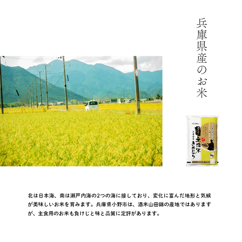 兵庫県産 キヌヒカリ 無洗米 10kg ( 5kg × 2袋 ) [ お米 米 おいしい きぬひかり 兵庫県 小野市 ] 精米 白米 ご飯 手間いらず 白さ 輝き 絹 粘り さっぱり 甘み お弁当