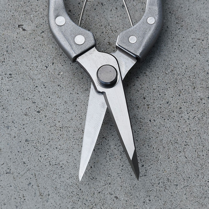 KUROCO ステンレス芽切鋏／片刃タイプ／180mmショートハンドル 剪定