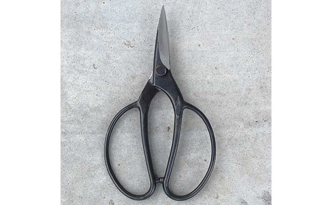 鋏政宗 75mm 植木鋏 青紙 ネジ式