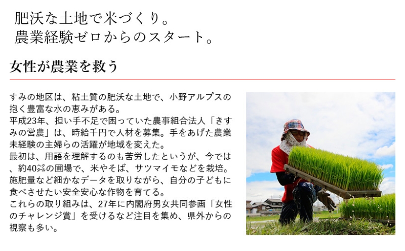 餅 きすみのこもち 24袋セット[ もち お餅 もち米 個包装 無添加 お正月 ]