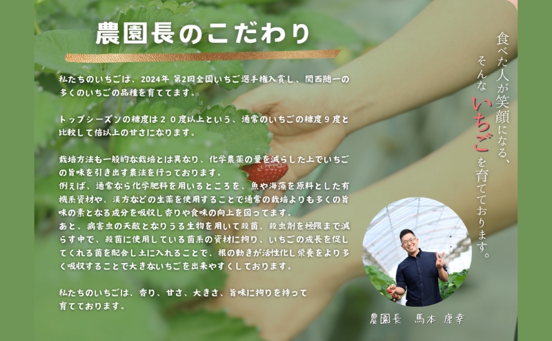 【予約受付】大粒いちご 12粒入りセット 2026年1月以降順次発送予定[ いちご イチゴ 苺 フルーツ 果物 新鮮 糖度 ] 果物類