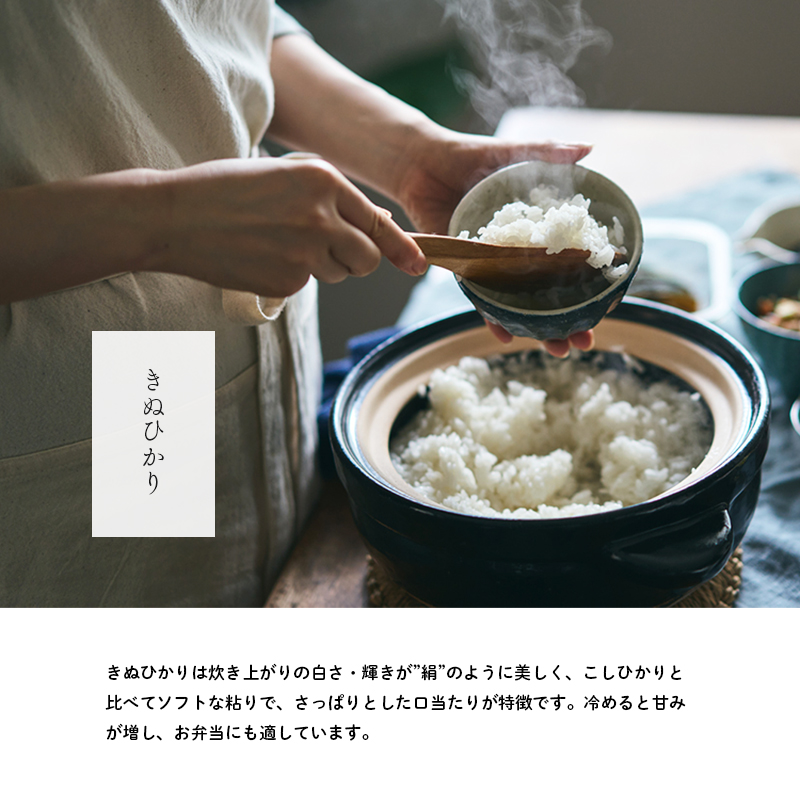 兵庫県産 キヌヒカリ 無洗米 5kg [ お米 米 おいしい きぬひかり 兵庫県 小野市 ] 精米 白米 ご飯 手間いらず 白さ 輝き 絹 粘り さっぱり 甘み お弁当