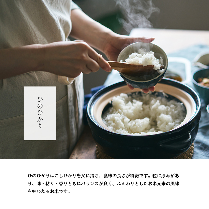 兵庫県産 ヒノヒカリ 無洗米 10kg ( 5kg × 2袋 )  [ お米 米 おいしい ひのひかり 兵庫県 小野市 ] 精米 白米 ご飯 手間いらず 厚み 味 粘り 香り バランス ふんわり