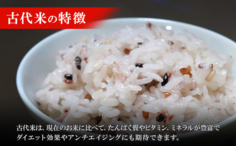 【定期便】きすみの営農のおいしい古代米 食べ比べ 4種セット (270g×4袋) 3か月連続 計12袋 / 赤米 黒米 玄米 もち米 うるち米 お米 雑穀 食べくらべ 令和7年度産 きすみの 健康ごはん 食物繊維