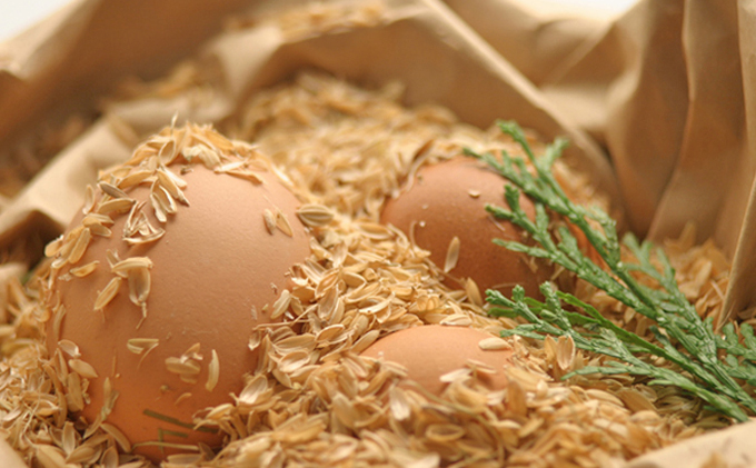 【12ヵ月連続お届け】『播州こく旨卵』50個入り＋割れ保証5個付