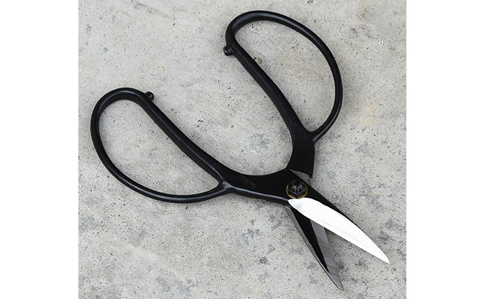 鋏政宗 75mm 植木鋏 青紙 ネジ式