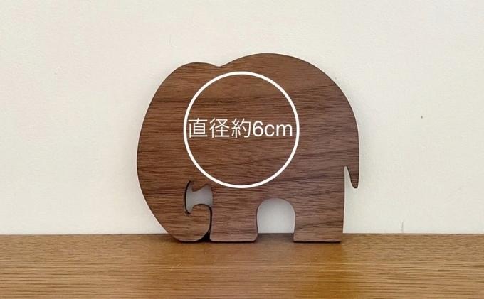 ゾウ コースター