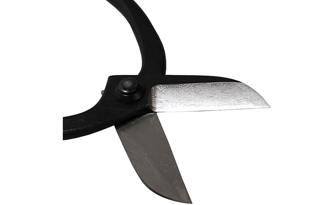 国栄 池の坊 花鋏 5.5寸（165mm）鋼付 イブシ ワラビ 生け花 生花