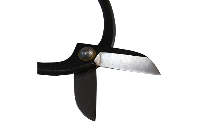 カネナカ 池の坊 花鋏 5.5寸（165mm）全鋼 生け花 生花