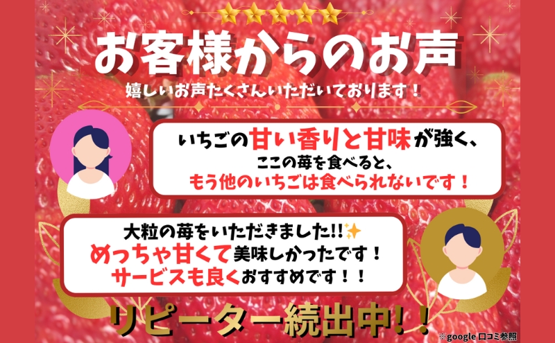 【予約受付】大粒いちご 15粒入りセット 2026年1月以降順次発送予定[ いちご イチゴ 苺 フルーツ 果物 新鮮 糖度 ] 果物類