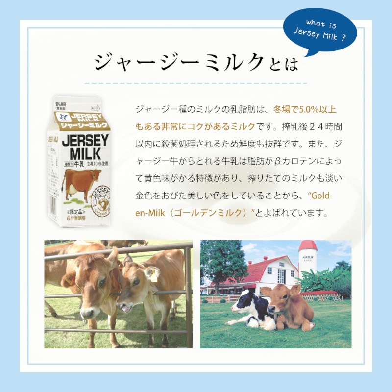 共進牧場 ジャージーミルクアイスクリーム 3種12個 スイーツ アイス 濃厚 兵庫県 小野市