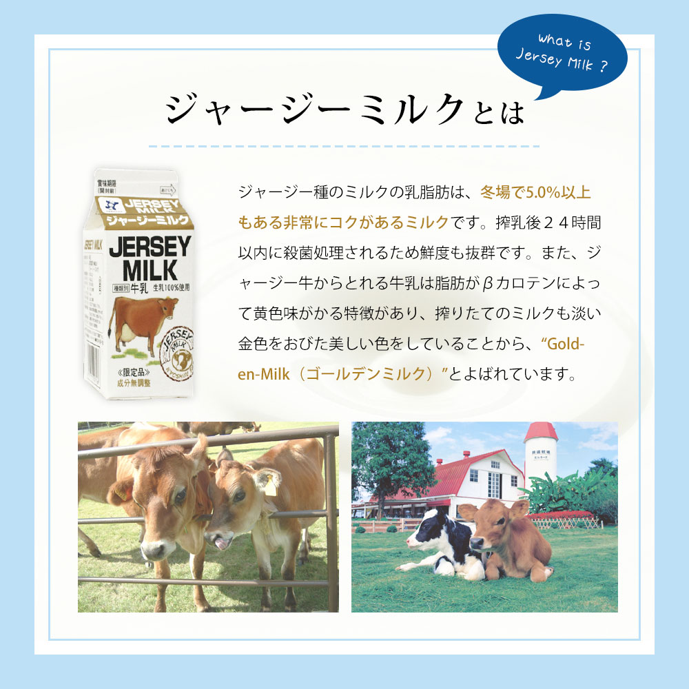 共進牧場 ジャージーミルクアイスクリーム 3種30個[ スイーツ アイス 濃厚 ]