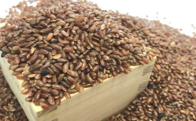 きすみのもちもちセットC[ おもち お餅 餅 ]