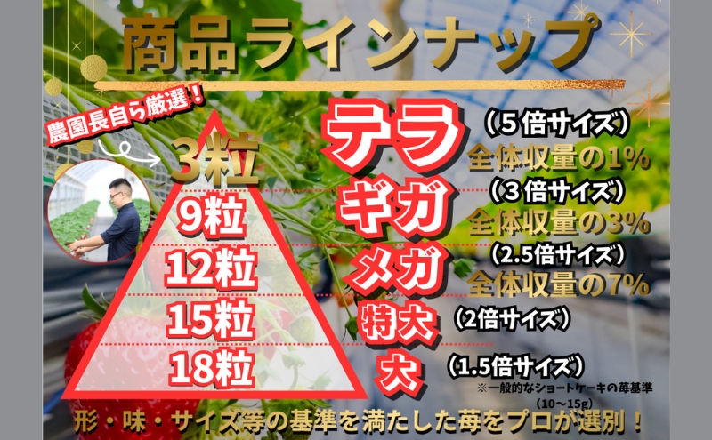 【予約受付】特大粒いちご 9粒入りセット 2026年1月以降順次発送予定[ いちご イチゴ 苺 大粒 フルーツ 果物 新鮮 糖度 ] 果物類