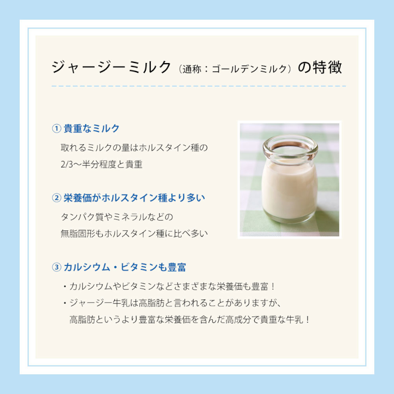 共進牧場 ジャージーミルクアイスクリーム 3種12個 スイーツ アイス 濃厚 兵庫県 小野市