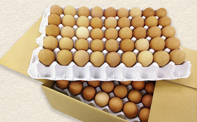 『播州こく旨卵』80個入り＋割れ保証8個付【10月～4月発送】