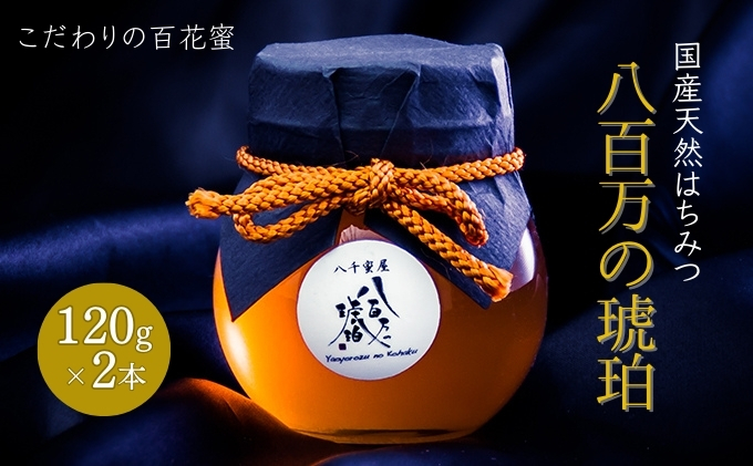 蜂蜜 八百万の琥珀(国産天然はちみつ)120g×2本(計240g)[ はちみつ ハチミツ 国産 百花蜜 ]