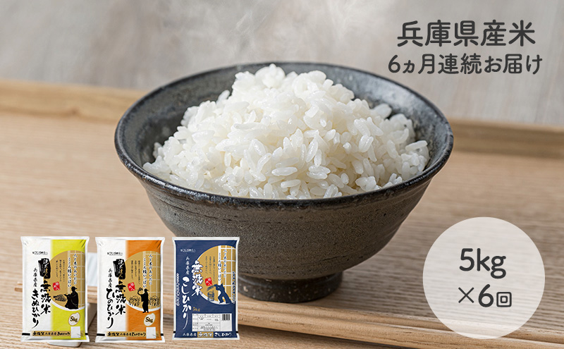 【6ヵ月連続お届け】精米人一押し！兵庫県産無洗米5kg×1袋 食べ比べ 定期便 お米 コシヒカリ ヒノヒカリ キヌヒカリ ６ヶ月 ６回