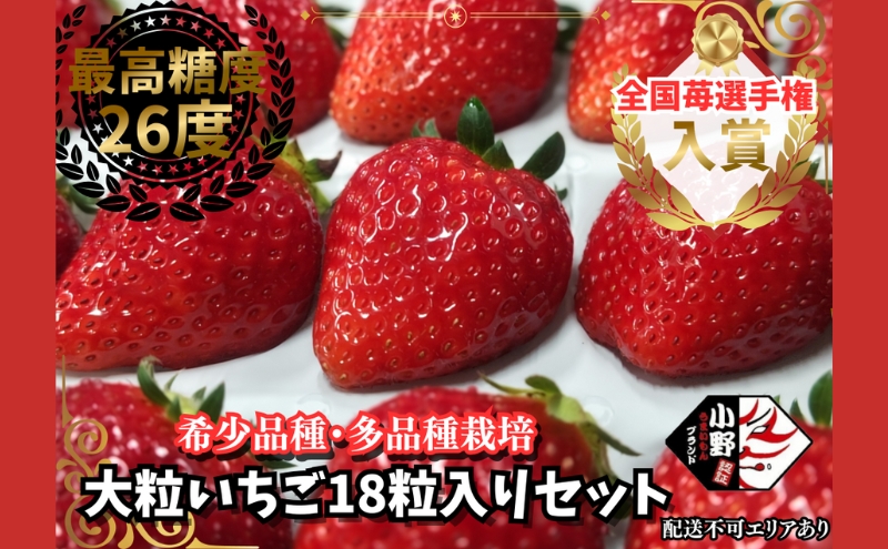 【予約受付】いちご 18粒入りセット 2026年1月以降順次発送予定[ イチゴ 苺 フルーツ 果物 新鮮 糖度 ] 果物類 大粒
