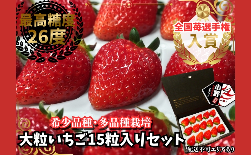 【予約受付】大粒いちご 15粒入りセット 2026年1月以降順次発送予定[ いちご イチゴ 苺 フルーツ 果物 新鮮 糖度 ] 果物類