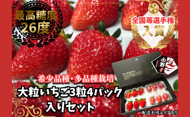 【予約受付】超特大粒いちご3粒入り4パックセット 2026年1月以降順次発送予定[ いちご イチゴ 苺 大粒 フルーツ 果物 新鮮 糖度 ] 果物類