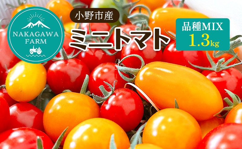 ミニトマト 品種 MIX 1.3kg[ トマト 有機質肥料 ]