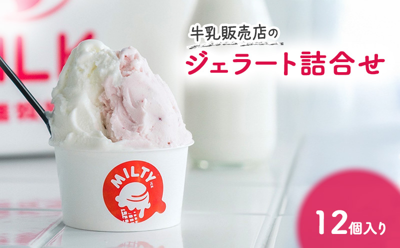 牛乳販売店のジェラート詰合せ12個入り　ジェラート アイス アイスクリーム カップ カップアイス デザート おやつ 詰め合わせ お取り寄せ ギフト 小野市 兵庫県