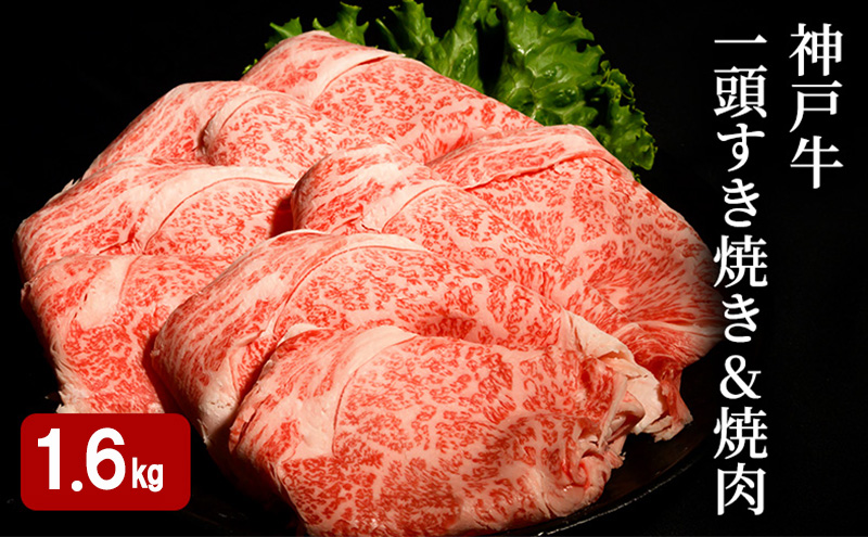 神戸牛 一頭 すき焼き & 焼肉 計 1.6kg （ ロース ・ もも ・ かた ・ ばら 各400g）