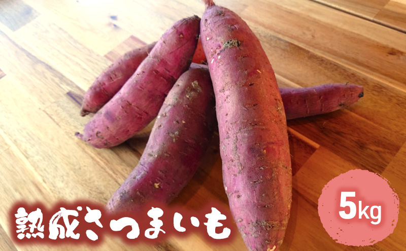 訳あり 熟成 さつまいも 5kgセット[ 不揃い 野菜 ]