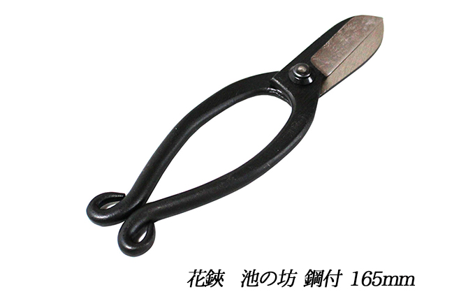 国栄 池の坊 花鋏 5.5寸（165mm）鋼付 イブシ ワラビ 生け花 生花