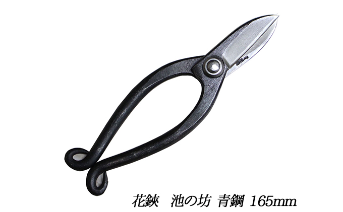飛鳥 池の坊 花鋏 5.5寸（165mm）青鋼 生け花 生花